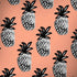 Bouffants and Broken Hearts Gray Scale Pineapple Surface Book 2 15in Skin